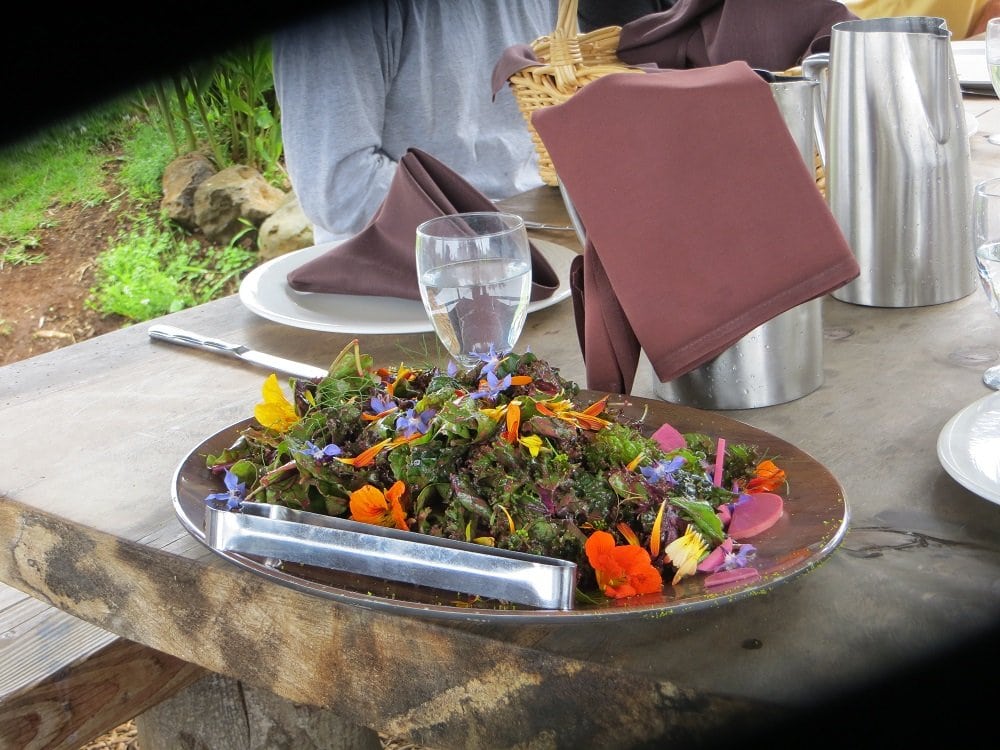 plate of salad greens and edible flowers on outdoor table