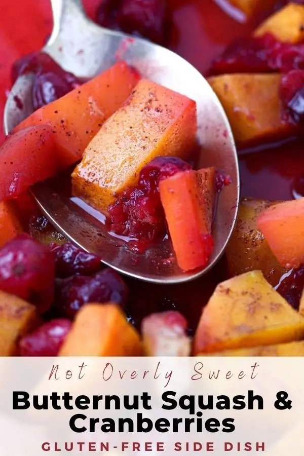 butternut squash and cranberries pin