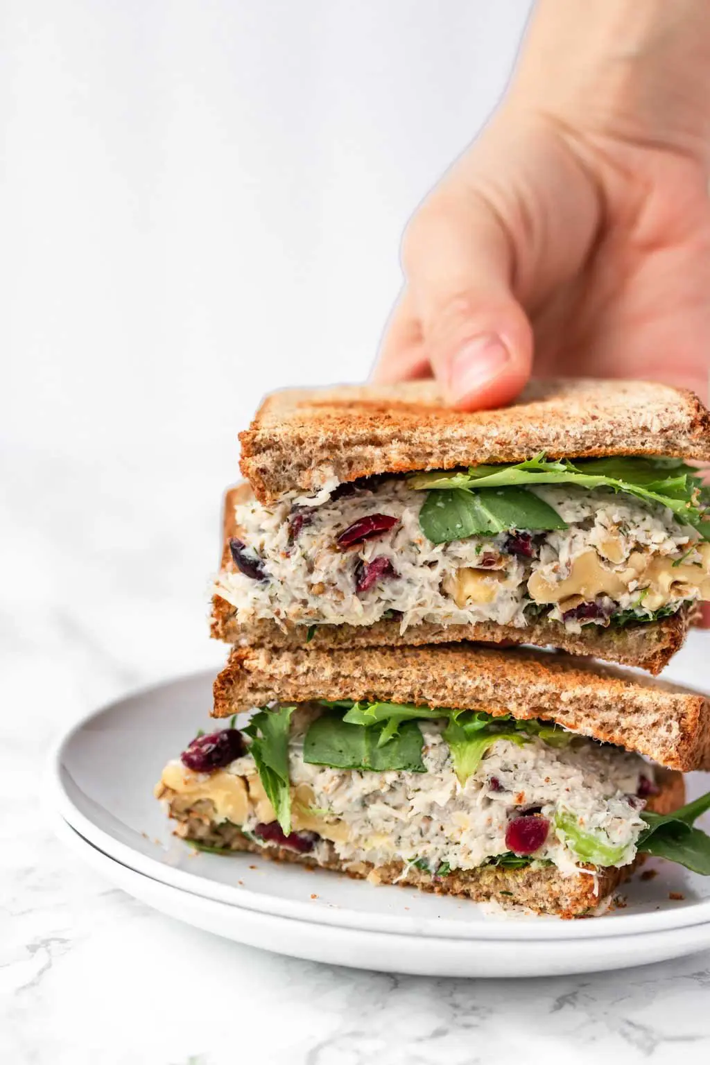 hand holding cranberry chicken salad sandwich