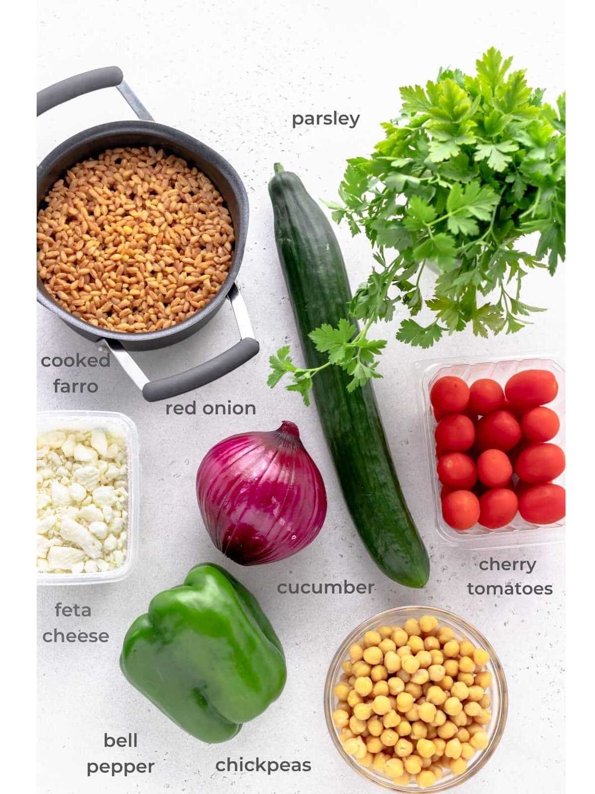 recipe ingredients