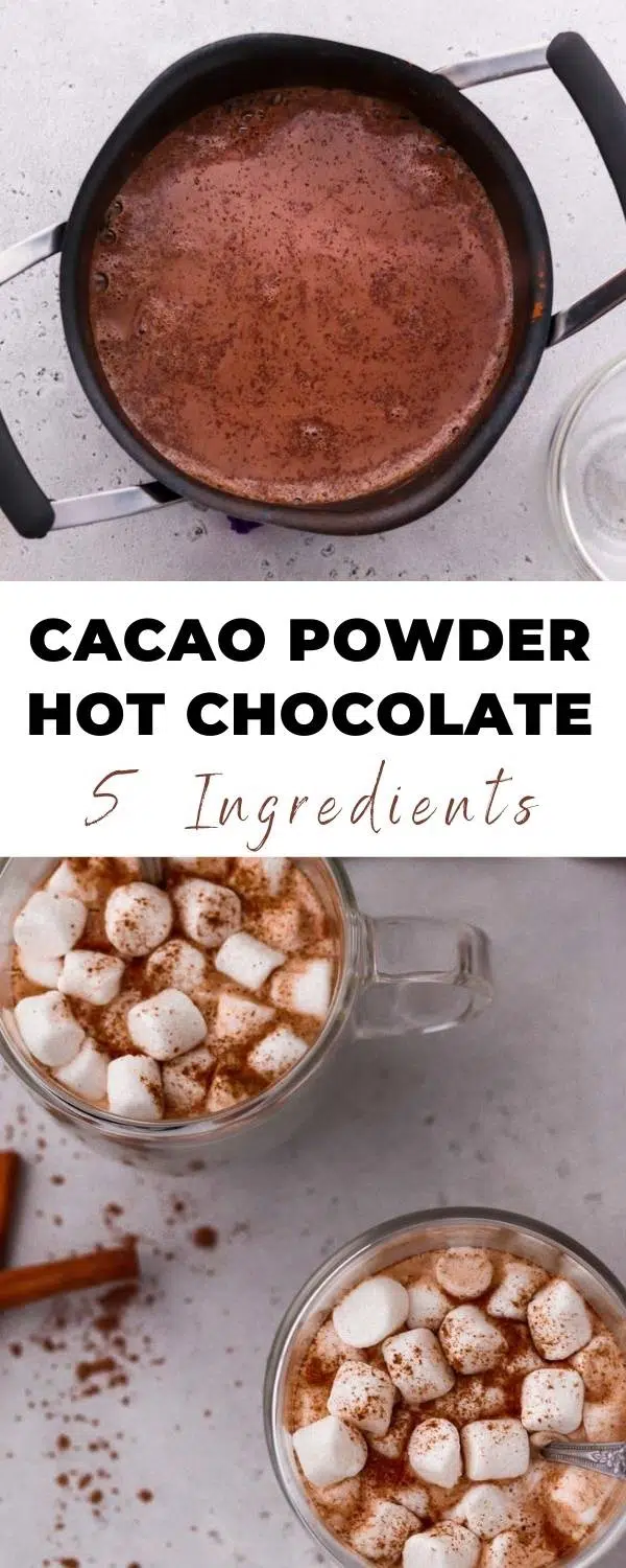 cacao hot chocolate pin