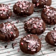 chocolate peppermint cookies