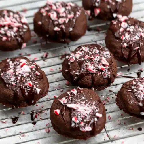 chocolate peppermint cookies