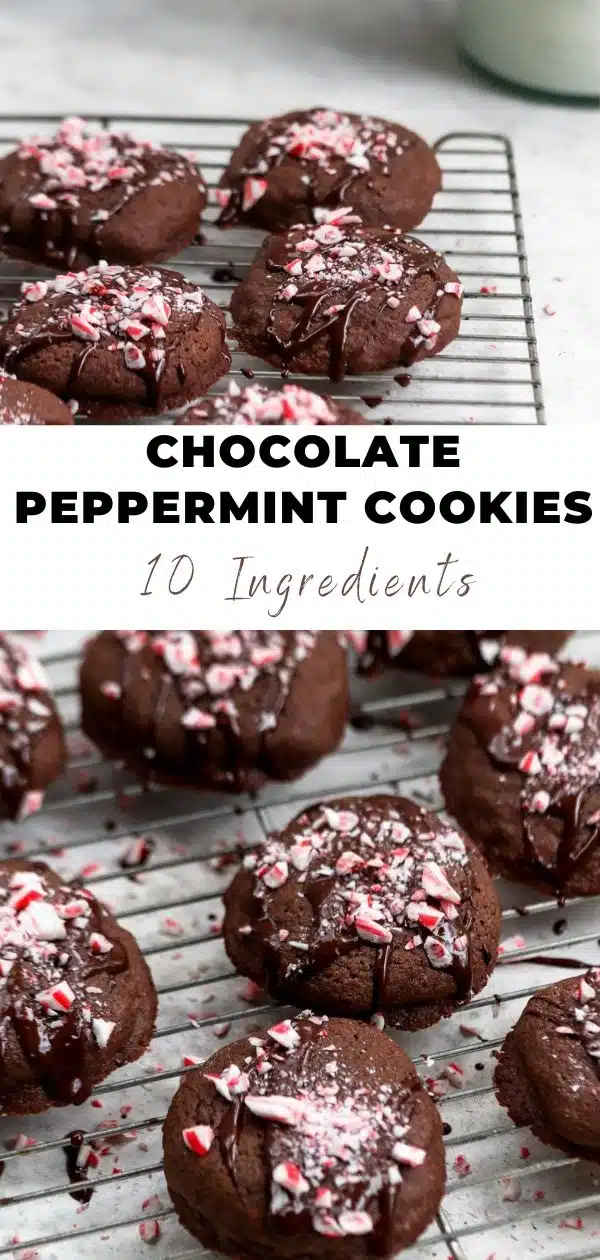 chocolate peppermint cookies pinterest